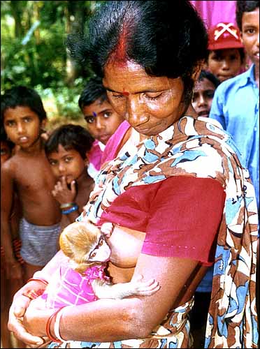 http://cellar.org/2002/breastfeedingmonkey.jpg