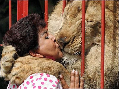 pictures of people kissing. This woman is in the habit of hugging and kissing her lion.