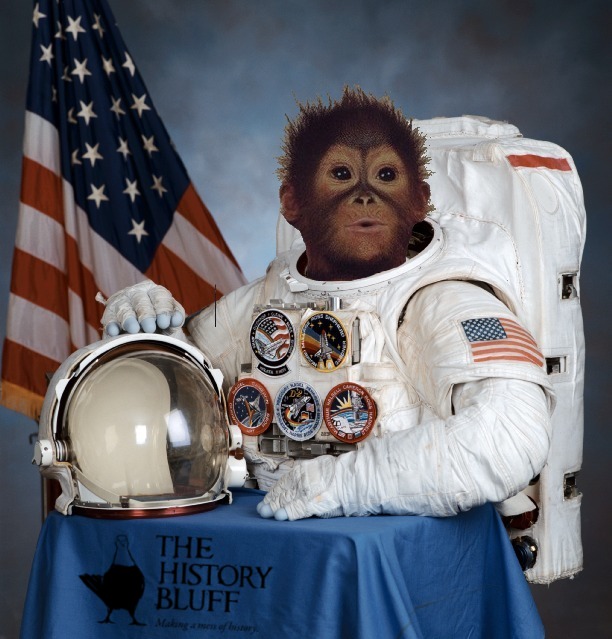 SpaceMonkey1.jpg