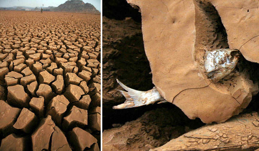 http://cellar.org/2010/drought.jpg