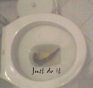 Name:  justdoit.jpg
Views: 1130
Size:  11.0 KB