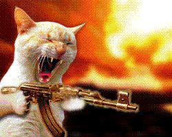 Name:  Cat with Gun.GIF
Views: 305
Size:  20.3 KB