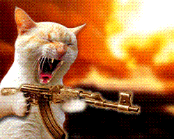 Name:  Cat with Gun.GIF
Views: 244
Size:  20.3 KB