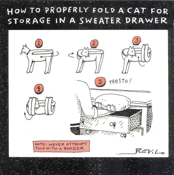 Name:  fold a cat guide.jpg
Views: 1455
Size:  75.6 KB