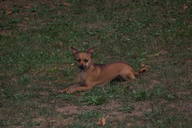 Name:  Smidget 2.jpg
Views: 932
Size:  109.6 KB