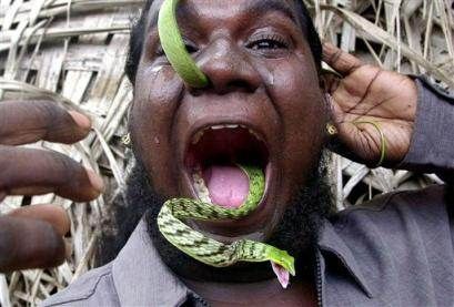 Name:  Snake in Mouth.jpg
Views: 1213
Size:  28.7 KB
