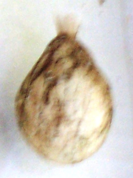 Name:  Misc Pics 150.jpg
Views: 542
Size:  58.8 KB