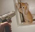 Name:  pussygun.jpg
Views: 218
Size:  2.5 KB