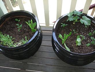 Name:  pots 1 and 2.jpg
Views: 222
Size:  37.9 KB