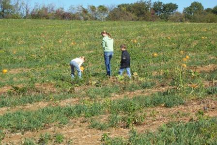 Name:  Pumpkin Patch 2007 008.jpg
Views: 186
Size:  40.1 KB