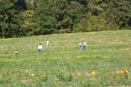Name:  Pumpkin Patch 2007 009.jpg
Views: 191
Size:  39.5 KB