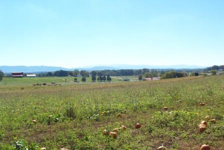 Name:  Pumpkin Patch 2007 025.jpg
Views: 220
Size:  25.7 KB