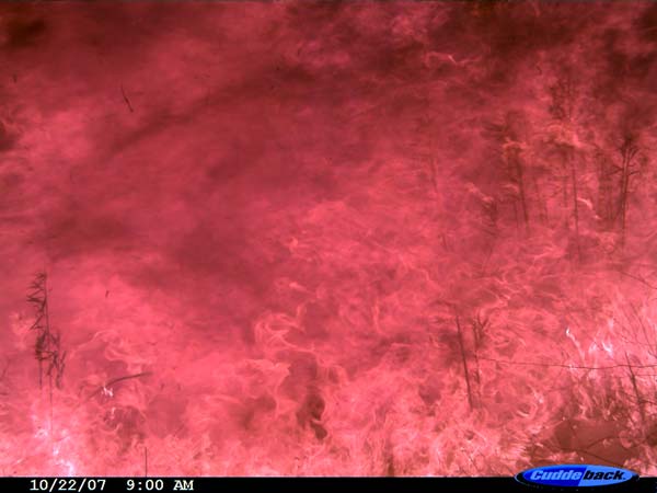 Name:  firebig-775006.jpg
Views: 108
Size:  30.7 KB