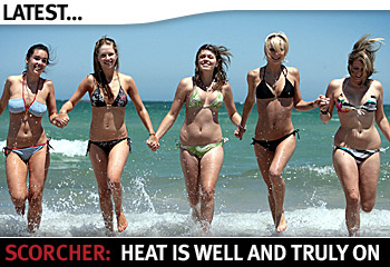 Name:  chicks.jpg
Views: 308
Size:  46.1 KB