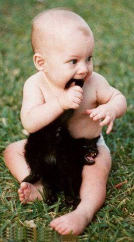 Name:  cat tongue.jpg
Views: 788
Size:  20.1 KB