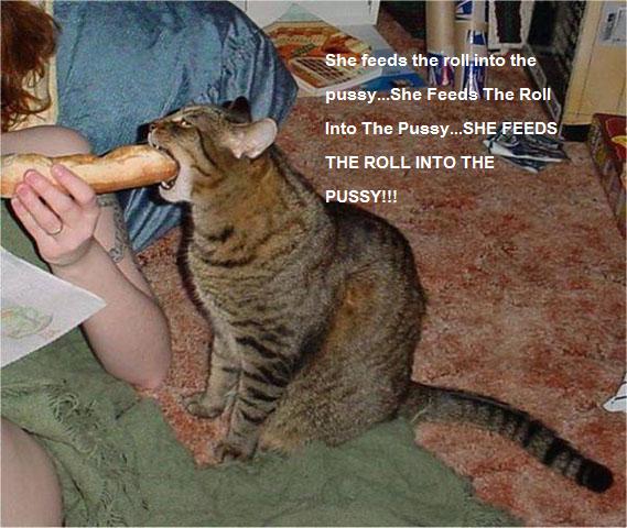 Name:  massive cat1.jpg
Views: 509
Size:  89.1 KB