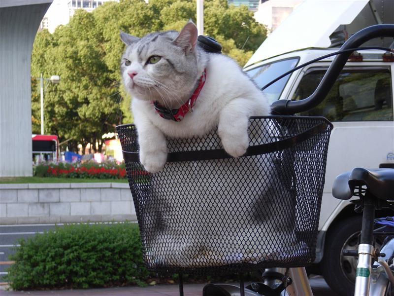 Name:  画像 127 (Medium).jpg
Views: 552
Size:  99.6 KB