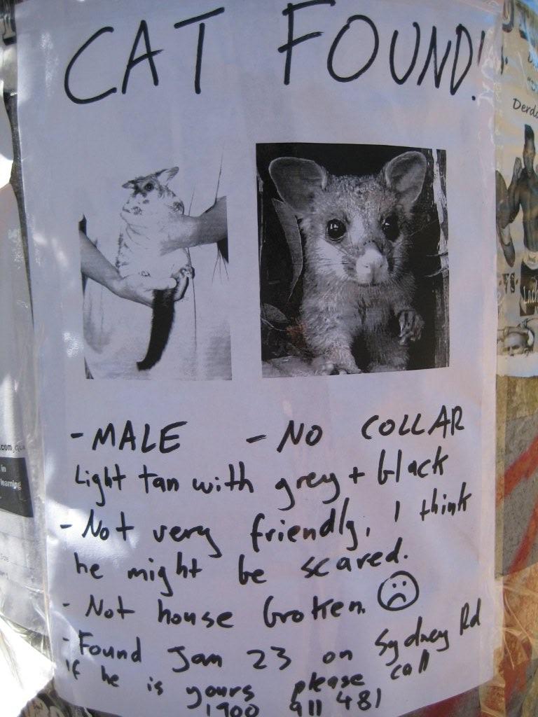 Name:  funny cat.jpg
Views: 434
Size:  97.2 KB