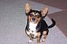 Name:  216273500112_0_SM.jpg
Views: 516
Size:  2.2 KB