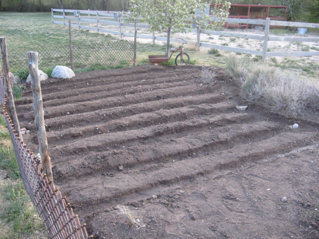 Name:  IMG_1129.JPG
Views: 372
Size:  162.7 KB
