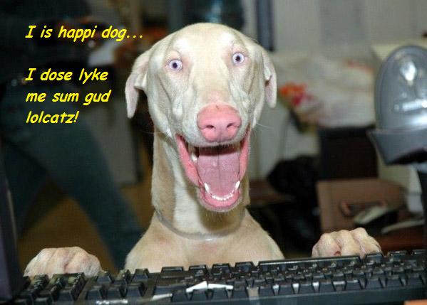 Name:  happy dog.jpg
Views: 562
Size:  35.9 KB