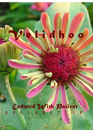 Name:  album2.jpg
Views: 95
Size:  128.1 KB