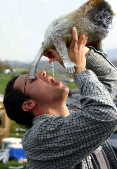 Name:  refreshment.jpg
Views: 1010
Size:  153.9 KB