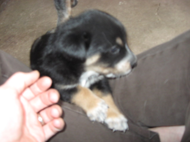 Name:  IMG_1354.JPG
Views: 496
Size:  65.2 KB