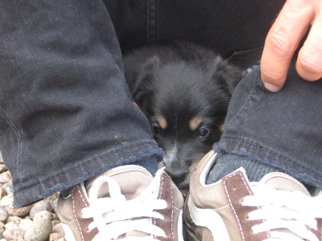 Name:  IMG_1376.JPG
Views: 481
Size:  117.6 KB