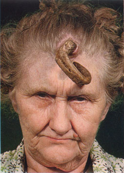 Name:  horn_lady1.jpg
Views: 762
Size:  35.1 KB