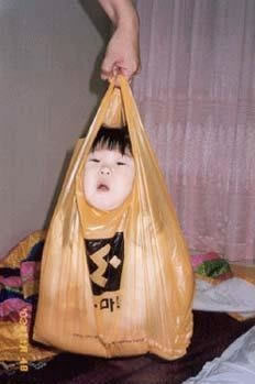 Name:  shoppingbag.jpg
Views: 722
Size:  14.9 KB