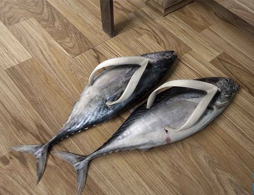 Name:  fishshoes.jpg
Views: 689
Size:  43.6 KB