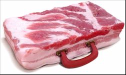 Name:  baconbriefcase.jpg
Views: 546
Size:  9.7 KB