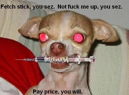 Name:  crazy_dog_LOL 1.JPG
Views: 1371
Size:  27.6 KB