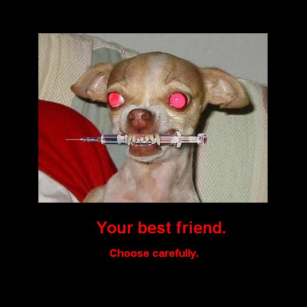 Name:  crazy_dog motivational.jpg
Views: 3060
Size:  33.3 KB