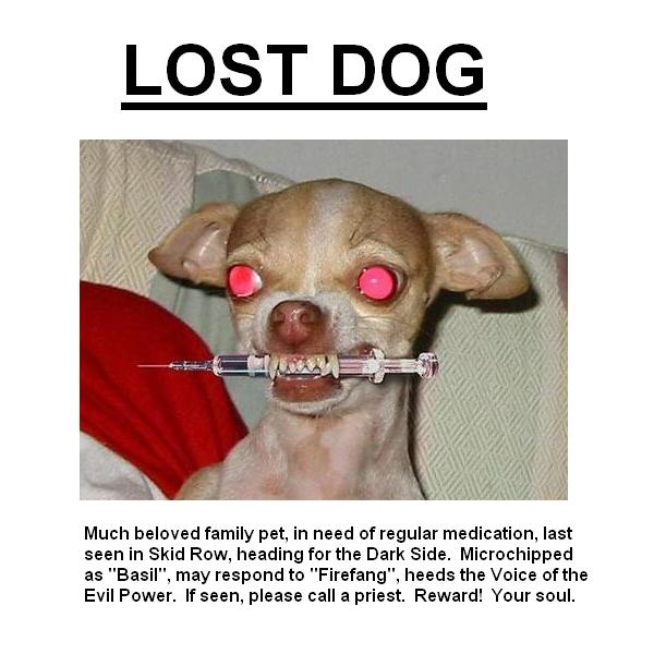 Name:  crazy_dog  LOST.JPG
Views: 482
Size:  51.2 KB