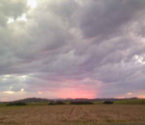 Name:  Sunset.jpg
Views: 1645
Size:  27.0 KB