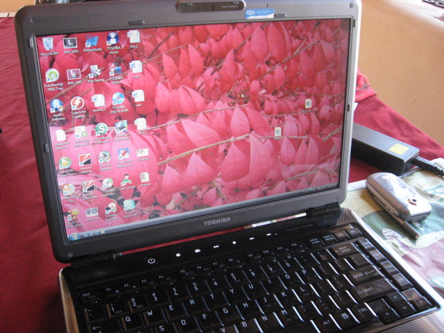 Name:  IMG_1648.JPG
Views: 286
Size:  137.7 KB
