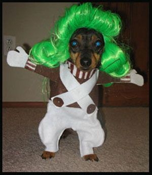 Name:  oompa_lumpa_doompdee_doo[1].jpg
Views: 766
Size:  63.1 KB