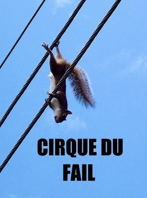 Name:  dead squirrel.jpg
Views: 800
Size:  69.8 KB