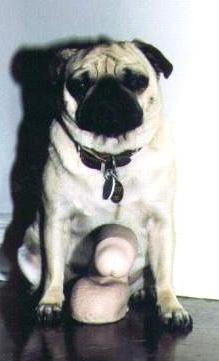 Name:  untitled29.jpg
Views: 2132
Size:  41.1 KB