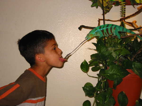 Name:  crazy.jpg
Views: 853
Size:  33.1 KB