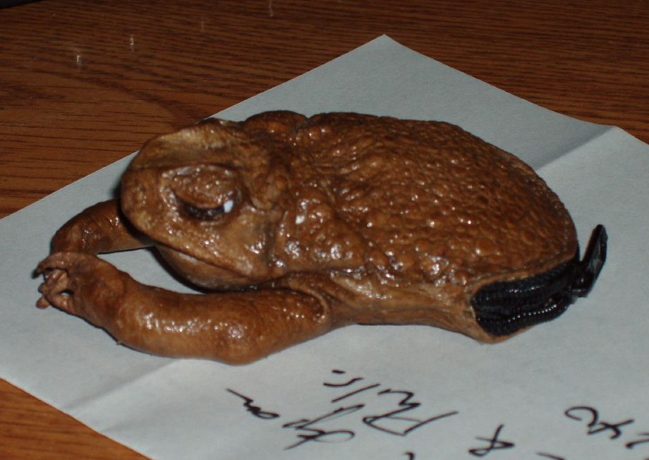 Name:  90628675_d7d335d3c8_o.jpg
Views: 836
Size:  97.5 KB