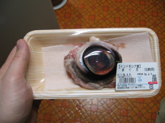 Name:  eyeball1.jpg
Views: 653
Size:  47.7 KB