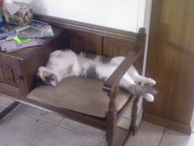 Name:  Photo0125.jpg
Views: 336
Size:  69.6 KB