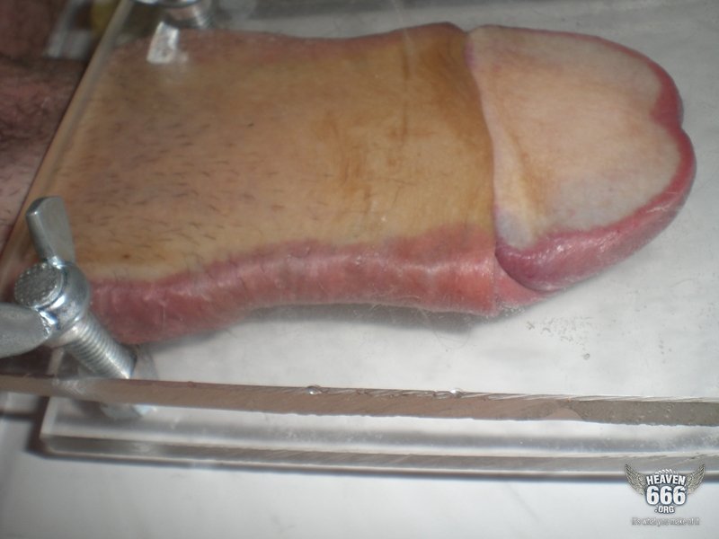 Name:  squeezed-cock.jpg
Views: 3685
Size:  51.5 KB