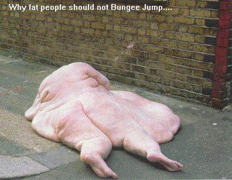 Name:  bungeejumper.jpg
Views: 2131
Size:  57.7 KB