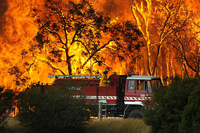 Name:  fire.jpg
Views: 197
Size:  37.4 KB