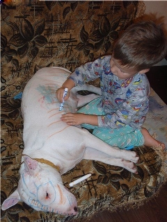 Name:  dangerous dog.jpg
Views: 530
Size:  84.8 KB