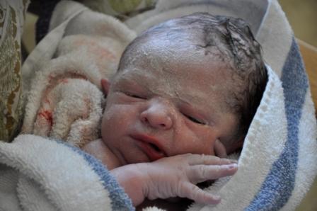 Name:  Minutes Old.jpg
Views: 223
Size:  64.5 KB